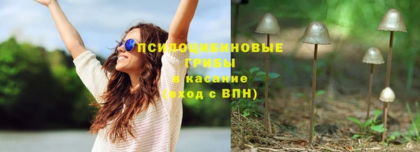 ГАЛЛЮЦИНОГЕННЫЕ ГРИБЫ Семилуки