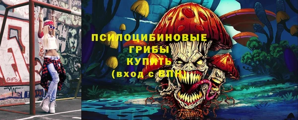 амф Снежногорск