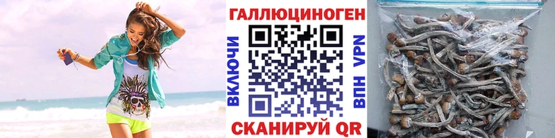 Галлюциногенные грибы мухоморы  наркота  Заводоуковск 