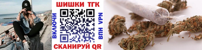 что такое наркотик Заводоуковск Бошки Шишки индика